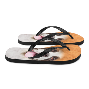 Saint Bernard Dog Flip-Flops by Design Express