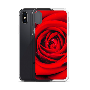 Fresh Red Rose iPhone Case by Design Express