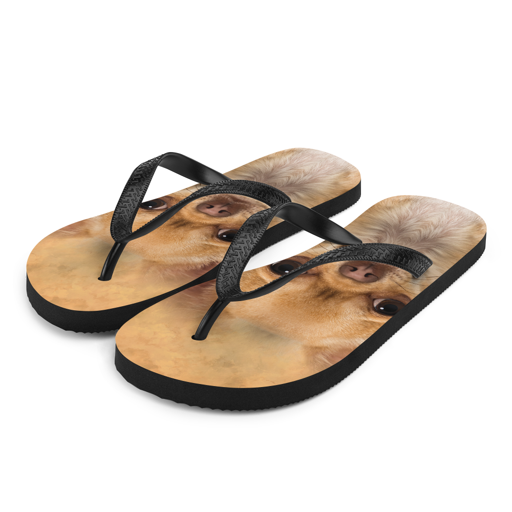 Chihuahua Flip Flops Chihuahua Flip Flops