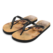 S Chihuahua Dog Flip-Flops by Design Express