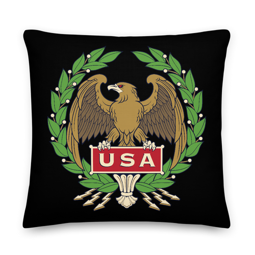 22×22 USA Eagle Square Premium Pillow by Design Express