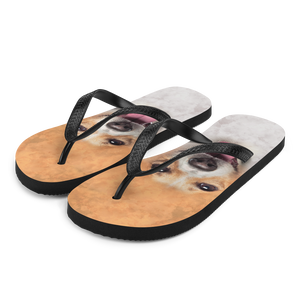 S Jack Russel Dog Flip-Flops by Design Express