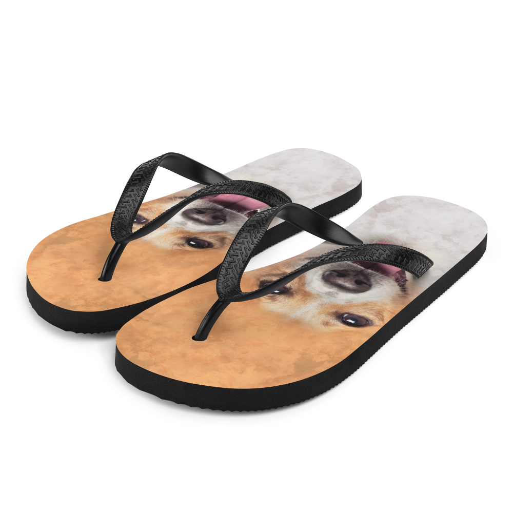 S Jack Russel Dog Flip-Flops by Design Express