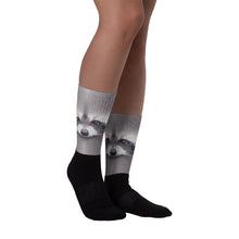 M Racoon "All Over Animal" Socks by Design Express