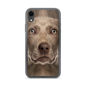 iPhone XR Weimaraner Dog iPhone Case by Design Express