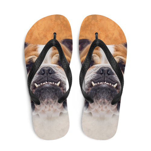 Bulldog Flip-Flops by Design Express