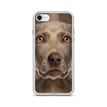 iPhone 7/8 Weimaraner Dog iPhone Case by Design Express