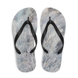 Ostrich Feathers Flip-Flops by Design Express