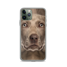 iPhone 11 Pro Weimaraner Dog iPhone Case by Design Express