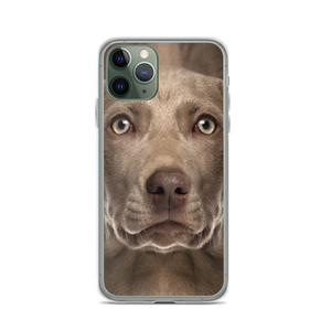 iPhone 11 Pro Weimaraner Dog iPhone Case by Design Express