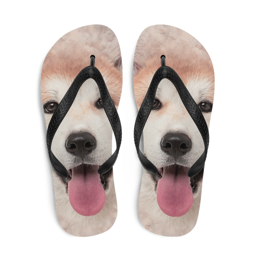 Akita Dog Flip-Flops by Design Express