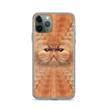 iPhone 11 Pro Persian Cat iPhone Case by Design Express