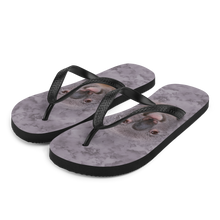 S Koala Flip-Flops by Design Express