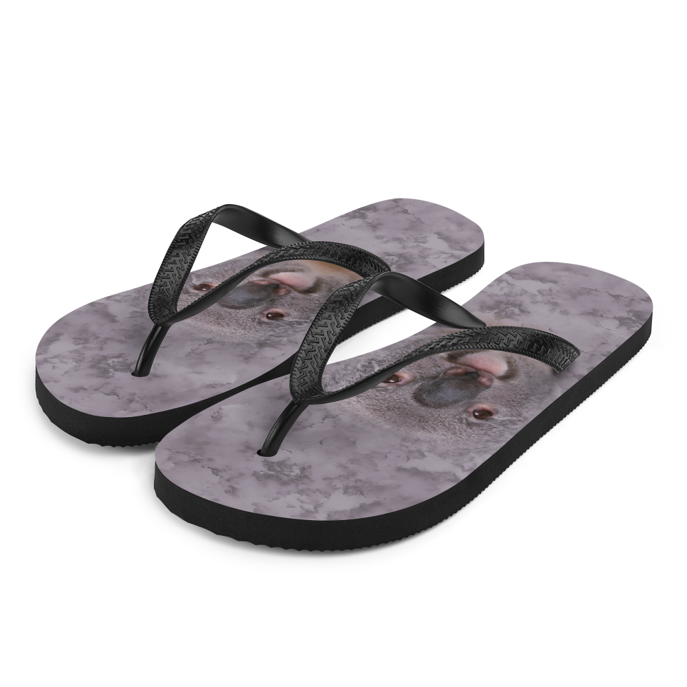 S Koala Flip-Flops by Design Express