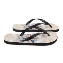 Siberian Kitten Cat Flip-Flops by Design Express