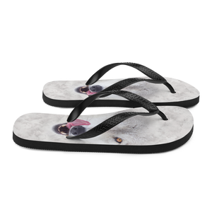 Wolf Flip-Flops by Design Express