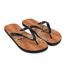 Persian Cat Flip-Flops by Design Express