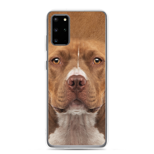 Samsung Galaxy S20 Plus Staffordshire Bull Terrier Dog Samsung Case by Design Express