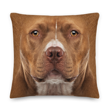 22×22 Staffordshire Bull Terrier Dog Premium Pillow by Design Express