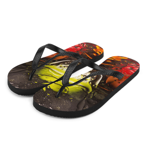 S Abstract 02 Flip-Flops by Design Express