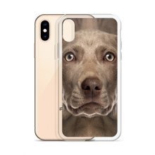 Weimaraner Dog iPhone Case by Design Express