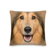 18×18 Shetland Sheepdog Premium Pillow by Design Express