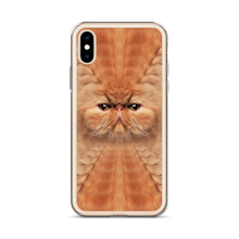 Persian Cat iPhone Case by Design Express