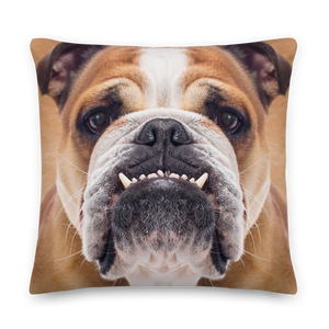 22×22 Bulldog Premium Pillow by Design Express