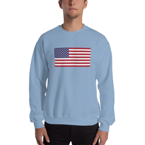 Light Blue / S United States Flag "Solo" Sweatshirt by Design Express