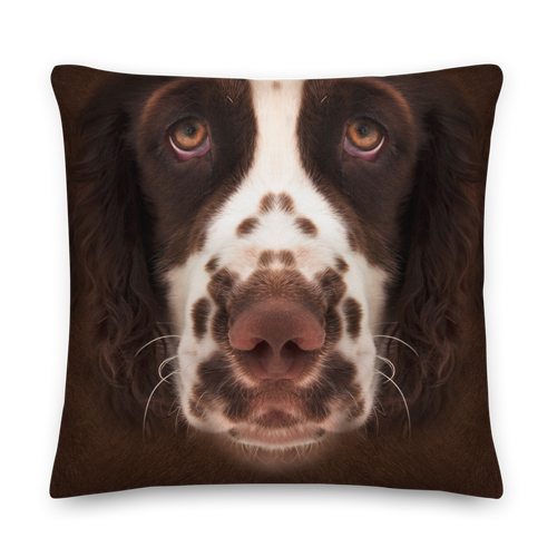 22×22 English Springer Spaniel Dog Premium Pillow by Design Express