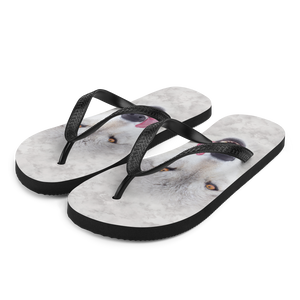 S Wolf Flip-Flops by Design Express