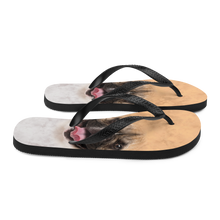 French Bulldog Flip-Flops by Design Express