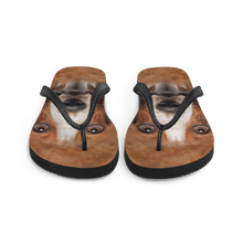 Basset Hound Dog Flip-Flops by Design Express