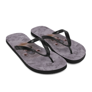 Koala Flip-Flops by Design Express