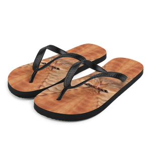 S Persian Cat Flip-Flops by Design Express