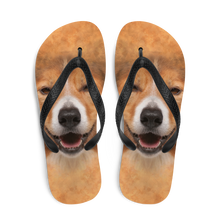 Border Collie Dog Flip-Flops by Design Express