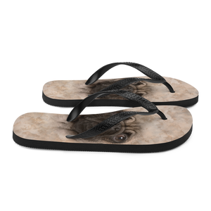 Pug Puppy Dog Flip-Flops by Design Express