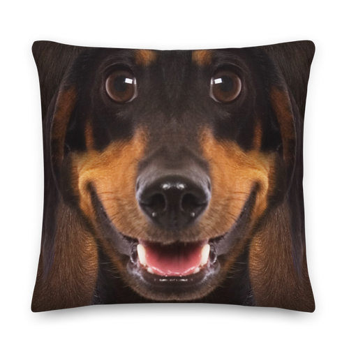 22×22 Dachshund Dog Premium Pillow by Design Express