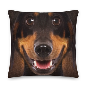 22×22 Dachshund Dog Premium Pillow by Design Express