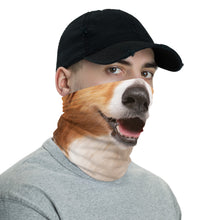 Border Collie Dog Neck Gaiter Masks by Design Express