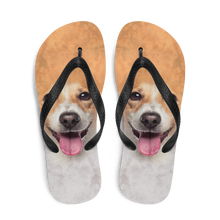 Jack Russel Dog Flip-Flops by Design Express