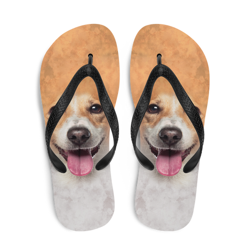 Jack Russel Dog Flip-Flops by Design Express