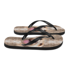 Labradoodle Dog Flip-Flops by Design Express