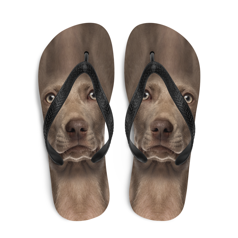 Weimaraner slippers outlet