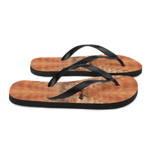 Persian Cat Flip-Flops by Design Express