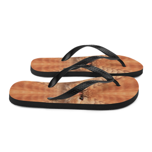 Persian Cat Flip-Flops by Design Express