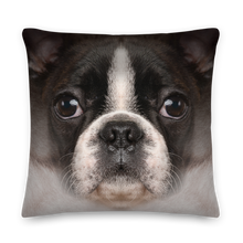 22×22 Boston Terrier Dog Premium Pillow by Design Express