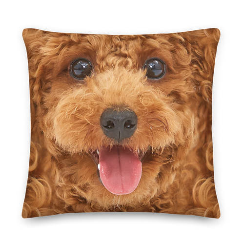 22×22 Poodle Dog Premium Pillow by Design Express