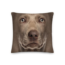 Weimaraner Dog Premium Pillow by Design Express