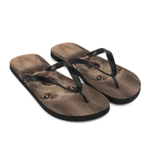 Weimaraner Dog Flip-Flops by Design Express